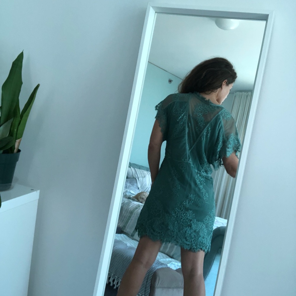 FLANNEL Designer Dress AND matching Slip